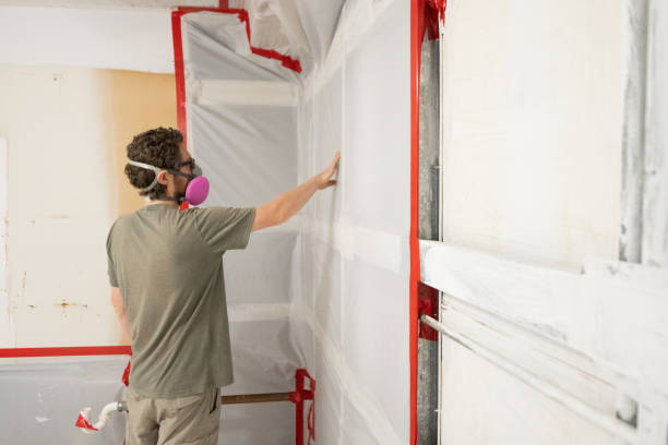 Asheboro, NC Mold Inspection, Removal & Remediation Company