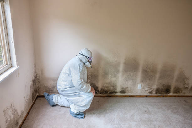 Forensic Mold Investigation in Asheboro, NC